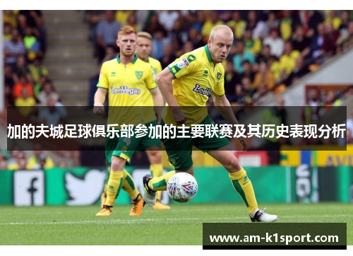 加的夫城足球俱乐部参加的主要联赛及其历史表现分析