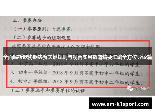 全面解析欧协联决赛关键规则与观赛实用指南精要汇编全方位导读篇