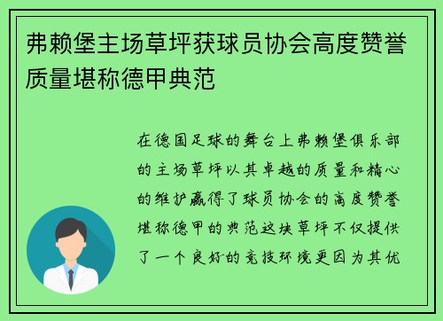 弗赖堡主场草坪获球员协会高度赞誉质量堪称德甲典范